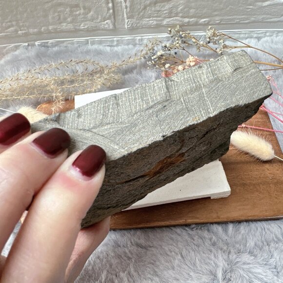 Beautiful Starfish Fossil in Matrix - Picture 4 of 5